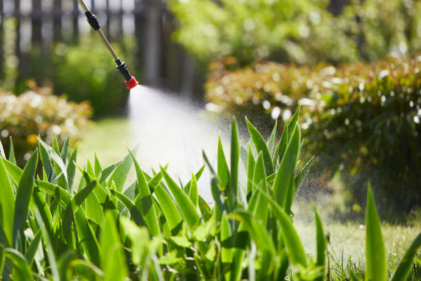 24/7 Emergency Mosquito Control experts in Fairview, OK